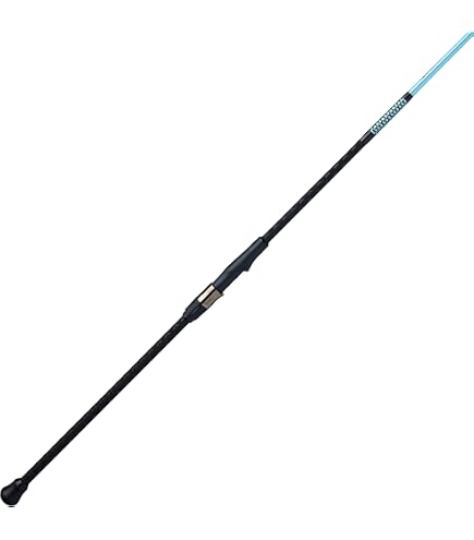 Amazon.com : Daiwa STIN902MFS Saltist Northeast Saltwater Spinning